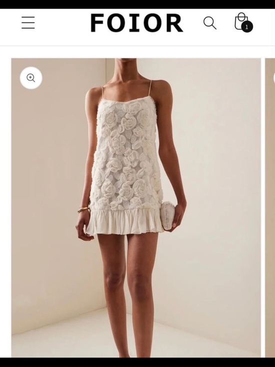 Dresses & Skirts - Ivory Floral Appliqué Mini Dress